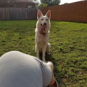 Meet your Posher, Destiny